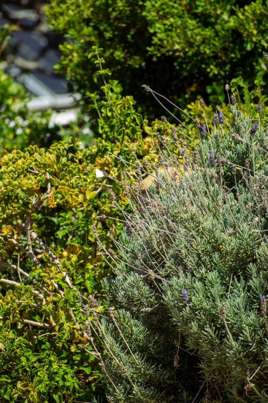 0 Bedroom Property for Sale in Moquini Coastal Estate Western Cape